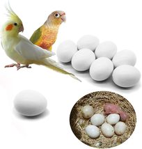 8 Pcs Solid Parrot Plastic Eggs Hatching Eggs Green Cheek, Lorikeet&amp;Ringneck Dov - £10.37 GBP