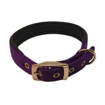 Nylon Padded Collar (Purple) - 60cm - $24.30