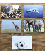 Ifaw Animal Blank Note Cards Seal Whale Zebra Elephants Giraffe w Envelopes - £7.76 GBP