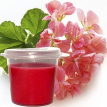 Rose Geranium Scented Soy Wax Candle Melts Shot Pots, Vegan, Hand Poured - £12.76 GBP+