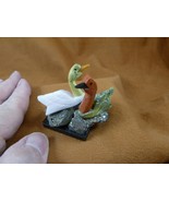 (Y-DUC-452) pair of Ducks tan + green love bird gemstone STONE gem Peru ... - $17.75