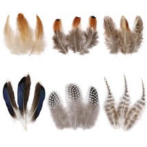 Natural Pheasant Craft Feathers - 240 Pcs 6 Style Mixed Feathers For Dre... - £20.77 GBP