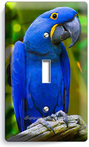 Hyacinth Tropical Blue Macaw Bird Parrot Single Light Switch Plate Room Hd Decor - £8.29 GBP