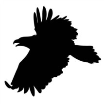 Soaring Eagle sticker VINYL DECAL Accipitridae Raptor Bald Golden Black ... - $7.12