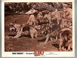 Legend Of Lobo-Walt Disney Production-11x14-Color-Lobby Card - £26.05 GBP