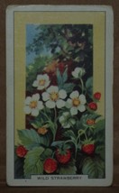 VINTAGE GALLAHER CIGARETTE CARDS WILD FLOWERS WILD STRAWBERRY 18 NUMBER ... - $1.75