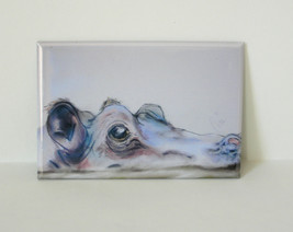 Hippopotamus Wildlife Animal Art Magnet Solomon - $6.50