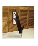 Cat Scratch Unique Posts Pads Boxes Balls Toys Mice Birds or Flowers Cat... - $18.90+