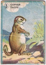 Cowan Co Toronto Animal Card # 3 Gopher Coupon Removed - $2.96