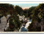 Fall Creek Da Stewart Avenue Ponte Ithaca New York Ny Unp Wb Cartolina M19 - £2.64 GBP