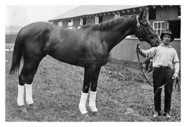Man O War Champion Thoroughbred Race Horse 1920 4X6 Photo - £6.29 GBP