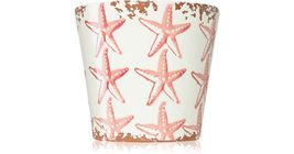 Wax Design Starfish Seabed 14x12,5 cm candela - $62.03