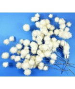 White Snowball Pom Picks With 10 to 13 Tinsel Poms Per Pick 24&quot; Long Set... - €21,99 EUR
