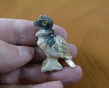 Y-BIR-VUL-14 gray Vulture Buzzard carving Figurine soapstone Peru scaven... - £6.90 GBP