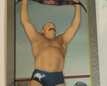 Iron Sheik WWE Topps Chrome Trading Card 2007 #96 - £1.54 GBP