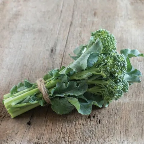 Organic De Cicco Broccoli Seeds Delicious Greens 1 Oz Fresh Garden - £9.39 GBP