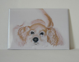 Cocker Spaniel Dog Art Magnet Solomon - £5.09 GBP