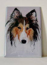Sheltie Shetland Sheepdog Dog Art Magnet Solomon - £4.68 GBP