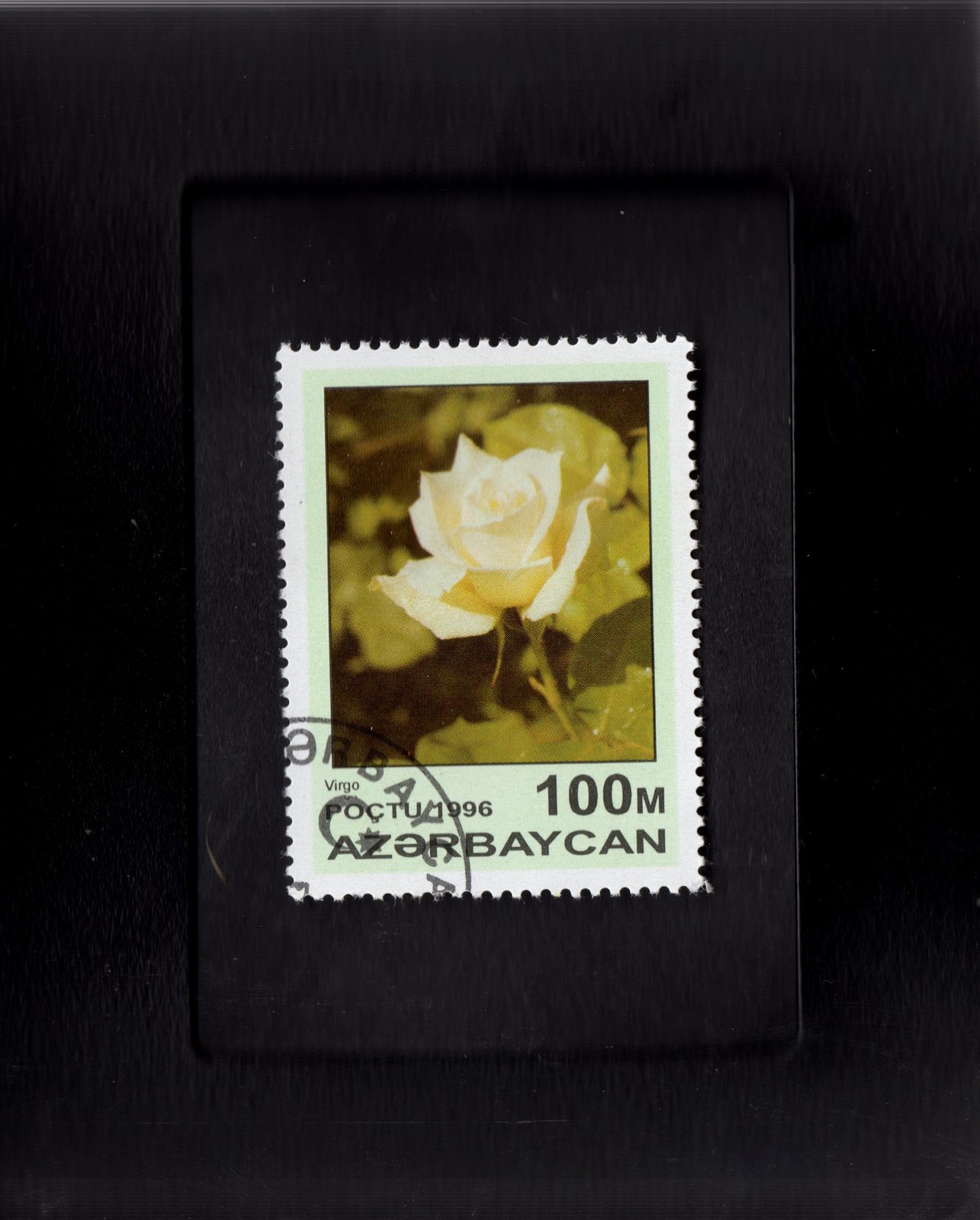  Tchotchke Frame Stamp Art -Collectible Postage Stamp Hybrid White Rose - $8.99