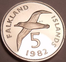 Rare Proof Falkland Islands 1982 5 Pence~Blackbrowed Albatross~5k Minted~Free Sh - £12.66 GBP