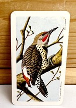 Vintage Songbird Trading Card Red Shaft Flicker 1962 S9N3 Brooke Bond Tea Co - £6.31 GBP