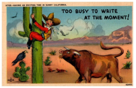 Too Busy To Write At The Moment Having An Exciting Time Funny Postcard - £6.99 GBP