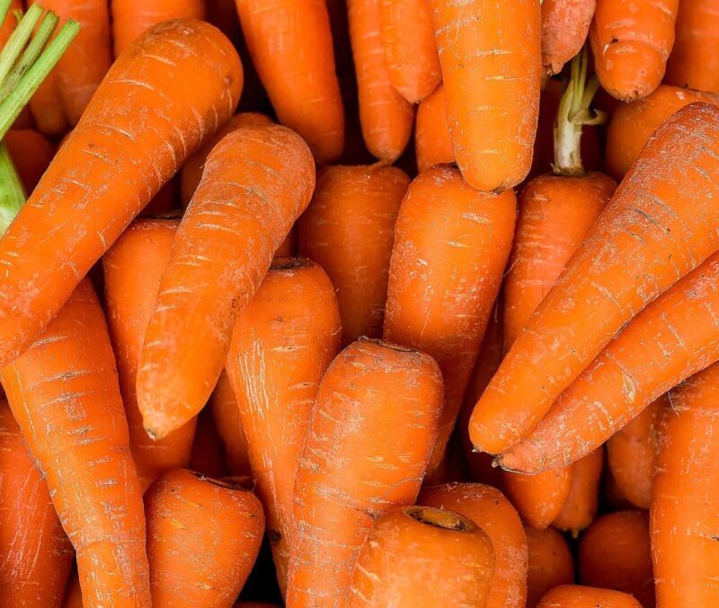 SEPTH 500 count Danvers Half Long Carrot Seed - NON-GMO / Heirloom - - $2.38