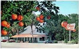 Vintage The Orange Shop Citra Florida Unused Postcard - £34.33 GBP