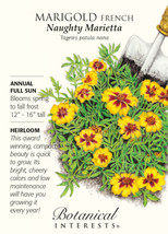 Fresh Naughty Marietta French Marigold Seeds 500 Mg US Seller - $15.98