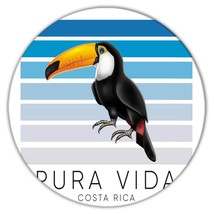Toucan Pura Vida Costa Rica : Gift Coaster Bird Tropical Animal - £3.90 GBP
