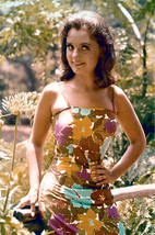 Dawn Wells in Gilligan&#39;s Island lovely pose in colorful summer dress seated on l - £19.29 GBP