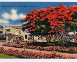 Royal Poinciana Home Linen Postcard Miami Florida - £7.78 GBP