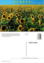 Kansas Big Yellow Sunflower Field Blue Clear Sky Clouds Floating VTG Postcard - £7.39 GBP