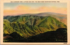 543 Clingmans Dome-The Great Smoky Mountains National Park Postcard Unposted a4 - £18.51 GBP