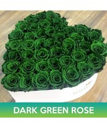 SMR Dark Green Rose Seeds Fresh Garden - $269.48 MXN
