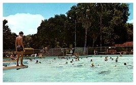 Beautiful Pool at Leesburg Florida Postcard Posted 1976 - £5.79 GBP