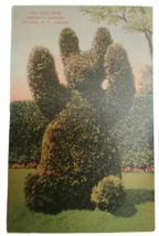 The Teddy-Bear Pendray&#39;s Gardens Victoria, B.C. Canada postcard - $9.99