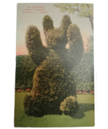 The Teddy-Bear Pendray&#39;s Gardens Victoria, B.C. Canada postcard - £7.85 GBP