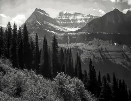  Trees Bushes Mountains Glacier National Park Montana 1941 - Ansel Adams 18x22 ❤ - £157.11 GBP