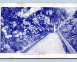 Flower House Conservatory Lincoln Park Chicago Illinois IL 1910 DB Postc... - $2.92