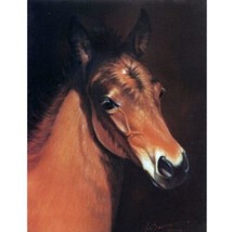 &quot;Baby Face&quot; - Head of a Foal - 6 Pack of Blank Cards - Print by Jean Bar... - £9.99 GBP