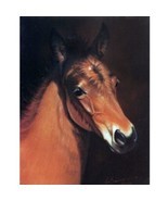 &quot;Baby Face&quot; - Head of a Foal - 6 Pack of Blank Cards - Print by Jean Bar... - $12.50