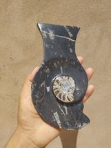 Item image 13