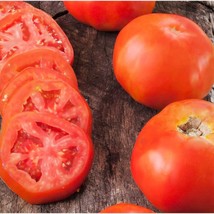 New Rutgers Tomato Seeds Grower Organic Fresh USA Garden - $9.00