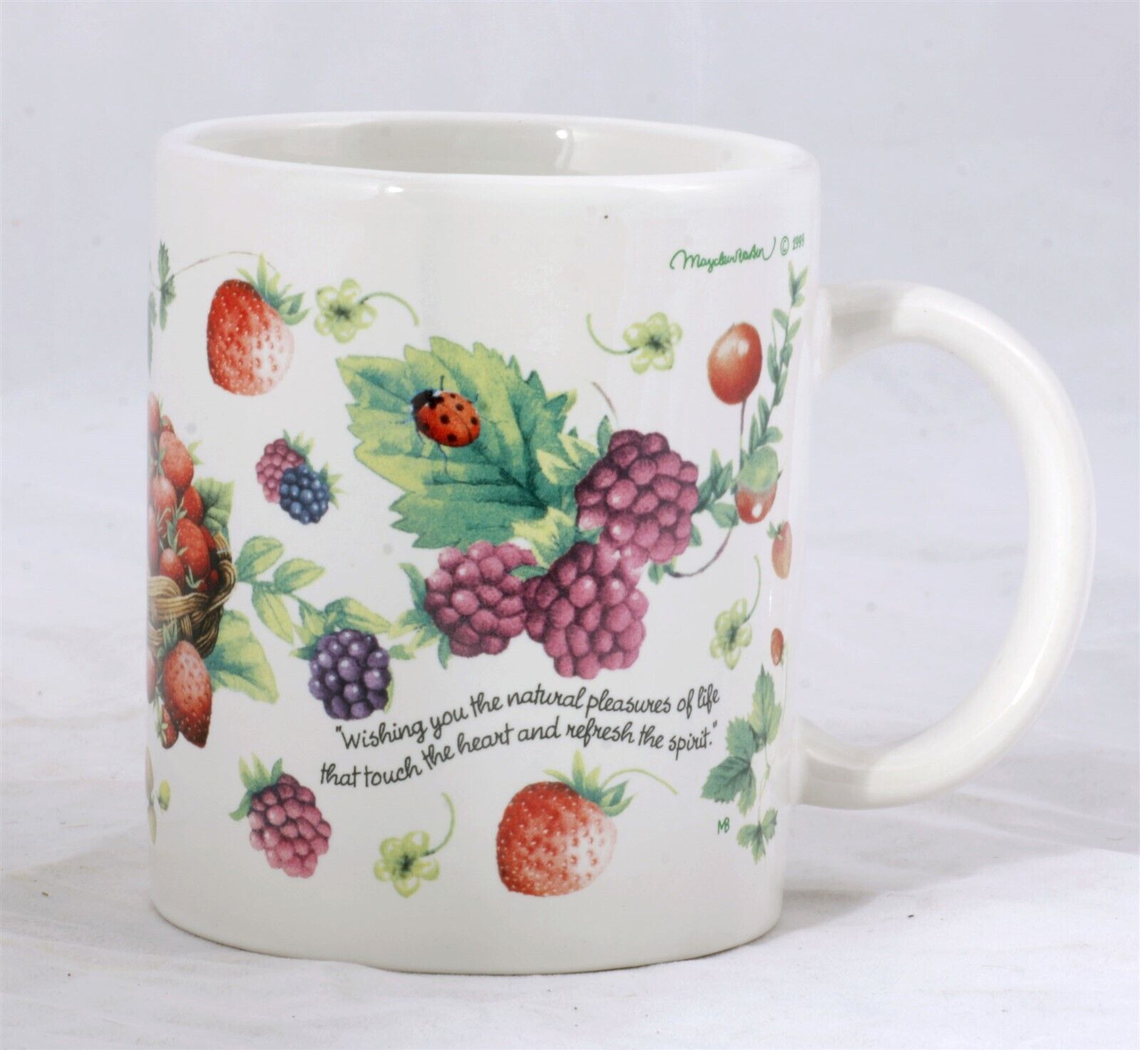 Primary image for Coffee Mug "endless possibilities... wishing you the natural pleasures of life"