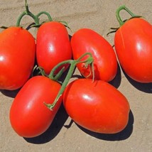 USA Seller Rio Grande Tomato Garden Seeds Seeds High Yields Extremes In Temperat - £13.83 GBP