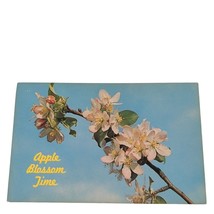 Postcard Apple Blossom Time Flower Branch Fall Chrome Unposted - £5.53 GBP