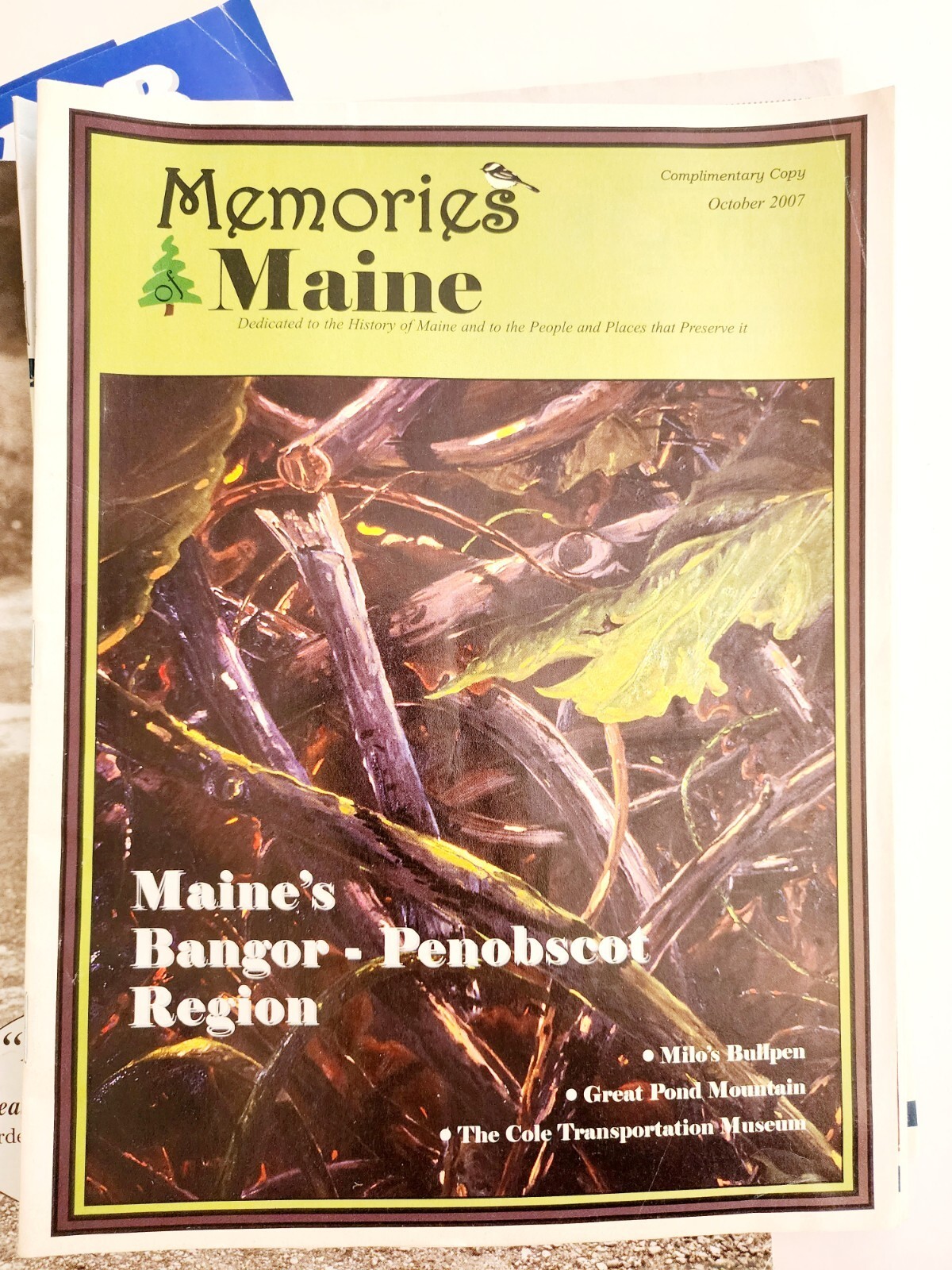 2000s Lot Of 14 Maine Magazines History Discovery Paper Talks Memories DWUU Item image 4