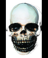 Skull Mask - €125,05 EUR