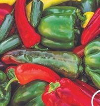 25 Sweet &amp; Spicy Pepper Mix Seeds  - $3.99